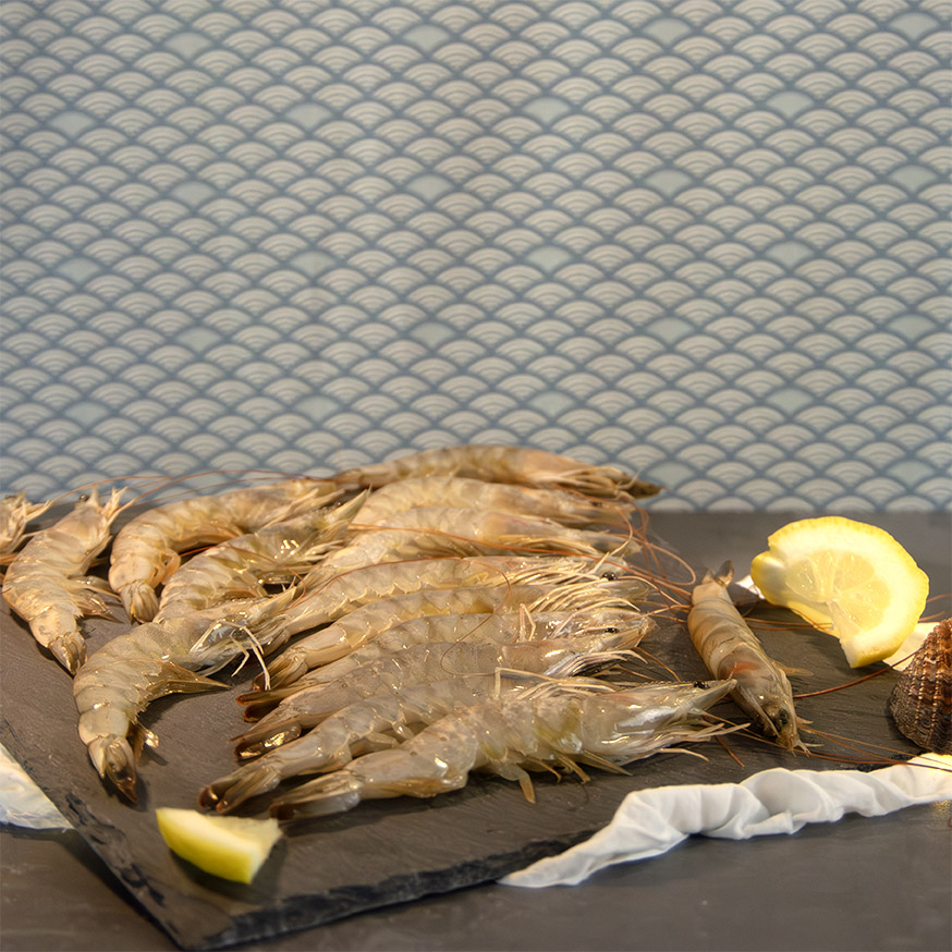 gambas