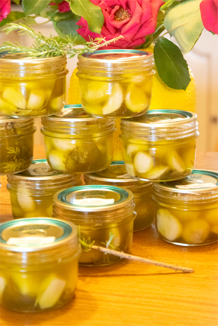 Conserves d'ail confit maison